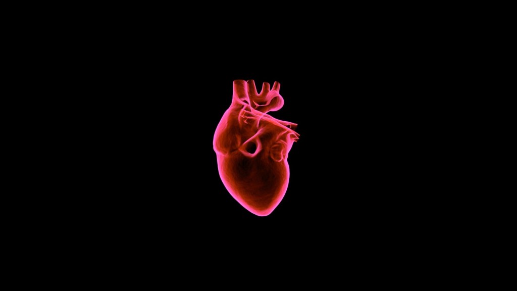 AI IN CARDIOLOGY NOW &&nbsp;PROSPECTS